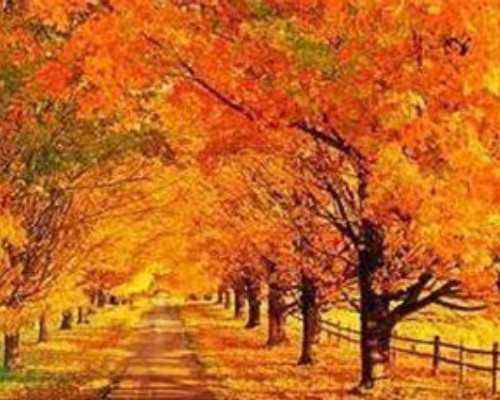 澳大利亚 移民 好坏【澳大利亚投资移民签证有几种？】