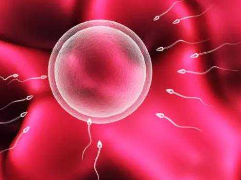 重庆供卵代怀专业吗 重庆市哪家医院可以做供卵试管婴儿？ ‘四维彩超女宝宝