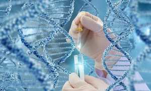 重庆代生产子费用价格 重庆七星岗妇幼做试管婴儿的成功率高 ‘怀孕彩超单看