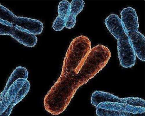 重庆捐卵盲捐多少钱 在重庆做第三代试管婴儿生孩子费用多少？ ‘孕妇13周男