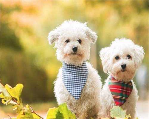 重庆零风险包成功生男孩 2024重庆供精人工授精的流程及费用是怎样的？附重庆