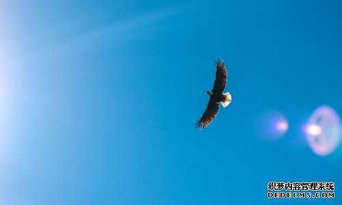 几内亚比绍移民有哪些（几内亚比绍生活介绍）