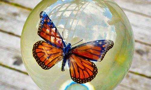 澳洲 技术移民职业清单{2016澳洲留学生人数创新纪录：超55万人！}