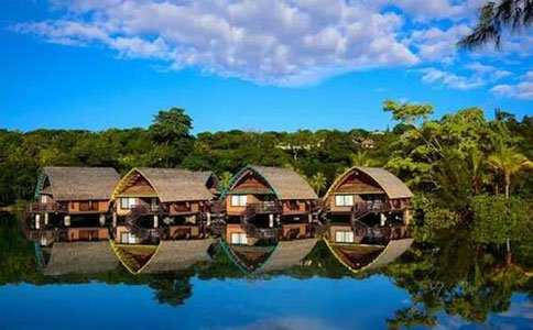 香港投资移民暂停【香港专才计划的条件，非常简单，门槛超低！】